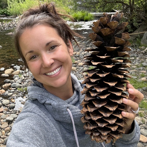 Giant Pine Cones Organic (not treated) - Picture 1 of 9